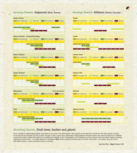 Load image into Gallery viewer, Lost the Plot - eBook: Allotment Book, Allotment Guide, 'Grow your Own' and Allotmenteering by Allotment Junkie®