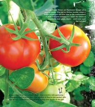 Load image into Gallery viewer, Lost the Plot – Paperback Allotment Book, Allotment Guide, 'Grow your Own' and Allotmenteering.