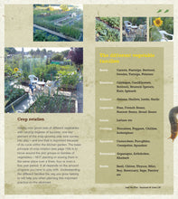 Load image into Gallery viewer, Lost the Plot - eBook: Allotment Book, Allotment Guide, 'Grow your Own' and Allotmenteering by Allotment Junkie®