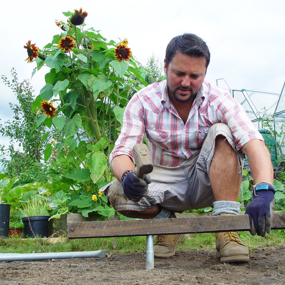 Photo of Allotment Junkie on the allotment plot