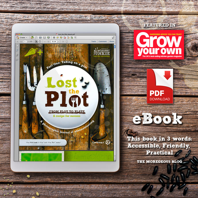 Lost the Plot - eBook - image of an ipad on textured board surface displaying the PDF book by allotment junkie